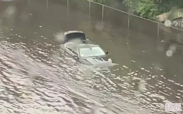 地铁逃生游戏中，探索最冷门枪械：揭秘鲜为人知的武器之选