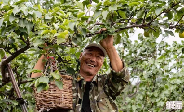 鞍山牌楼镇村庄全览：探秘各个特色村落