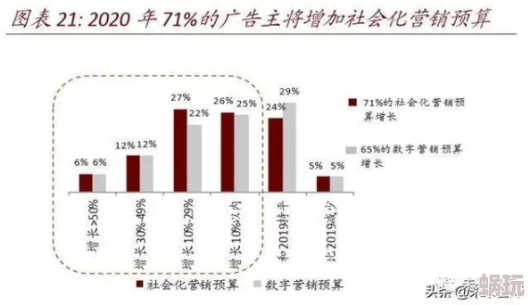 SPINE包含哪些内容？深入解析其核心要素与应用领域