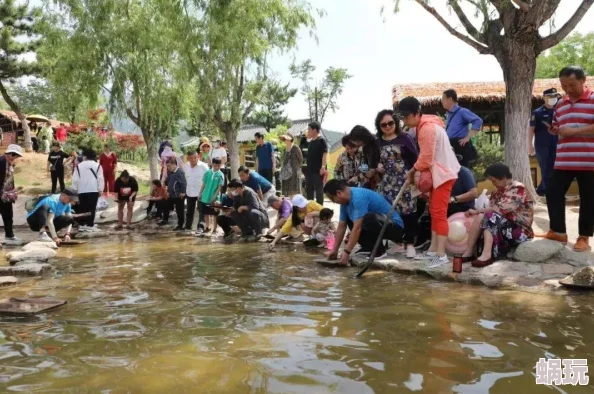 心动小镇手游联机玩法详解 ｜ 多人在线互动乐趣无穷